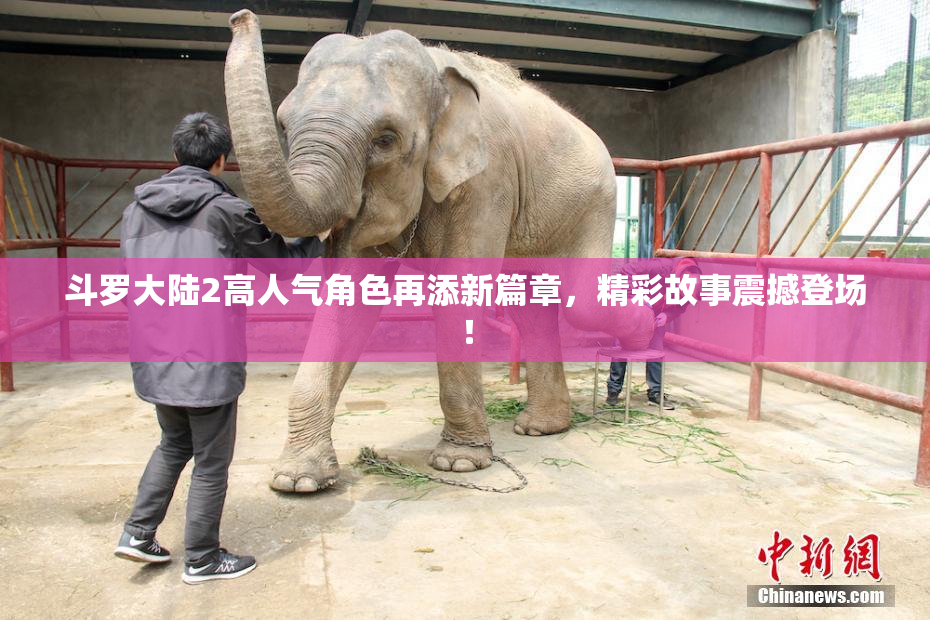 斗罗大陆2高人气角色再添新篇章，精彩故事震撼登场！