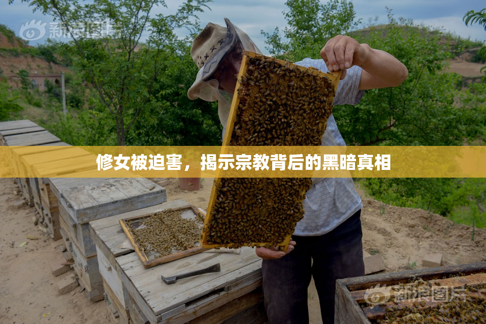 修女被迫害，揭示宗教背后的黑暗真相