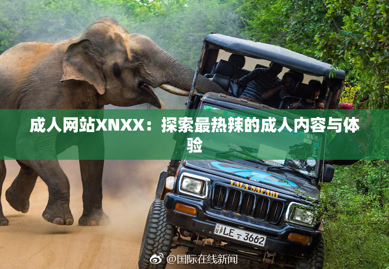 成人网站XNXX：探索最热辣的成人内容与体验