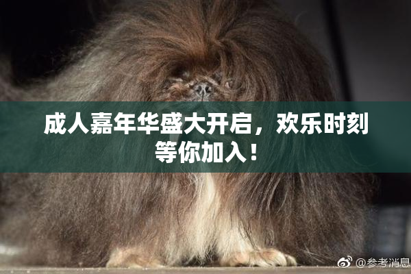 成人嘉年华盛大开启，欢乐时刻等你加入！