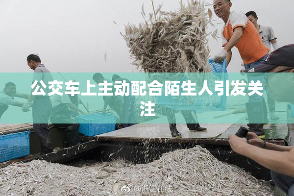 公交车上主动配合陌生人引发关注