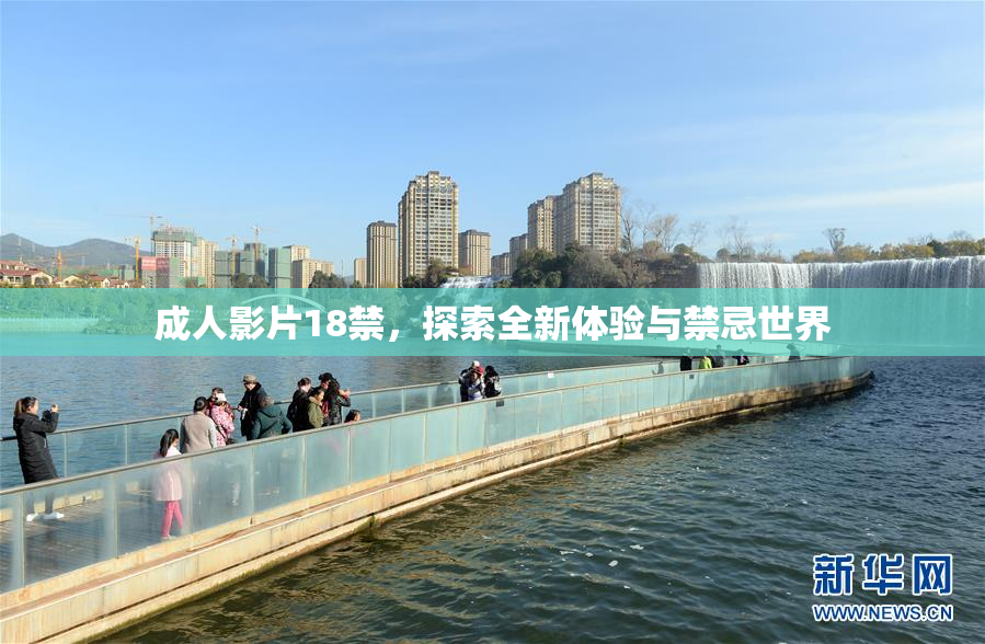 成人影片18禁，探索全新体验与禁忌世界