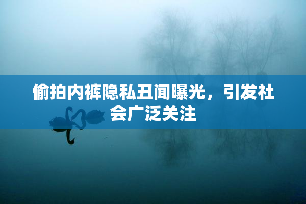 偷拍内裤隐私丑闻曝光，引发社会广泛关注