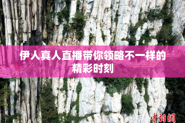 伊人真人直播带你领略不一样的精彩时刻