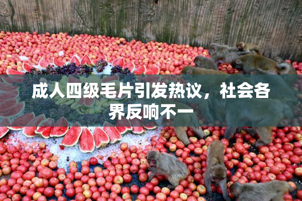 成人四级毛片引发热议，社会各界反响不一