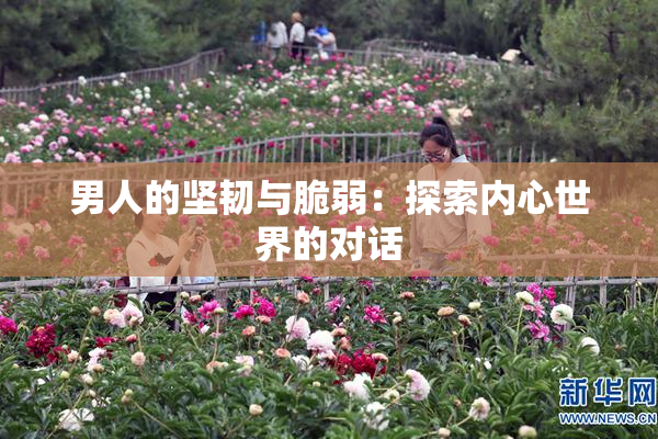 男人的坚韧与脆弱：探索内心世界的对话