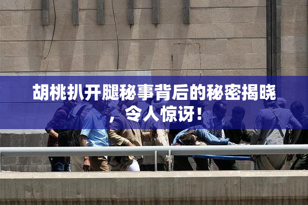 胡桃扒开腿秘事背后的秘密揭晓，令人惊讶！