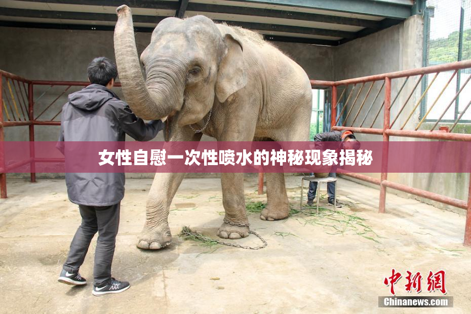 女性自慰一次性喷水的神秘现象揭秘