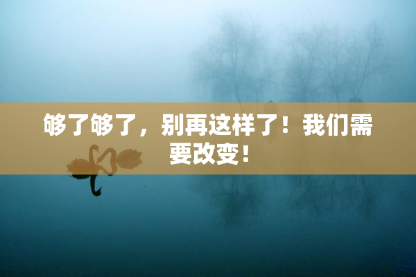 够了够了，别再这样了！我们需要改变！