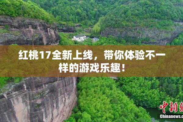 红桃17全新上线，带你体验不一样的游戏乐趣！