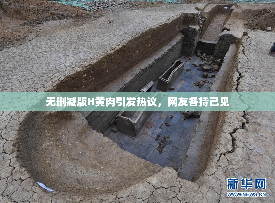 无删减版H黄肉引发热议，网友各持己见