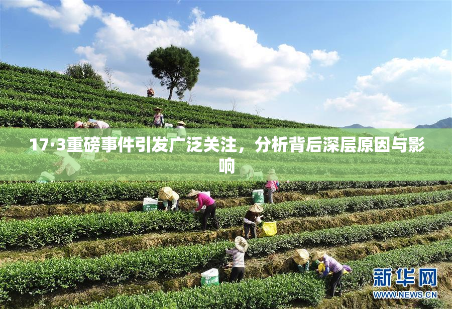 17·3重磅事件引发广泛关注，分析背后深层原因与影响