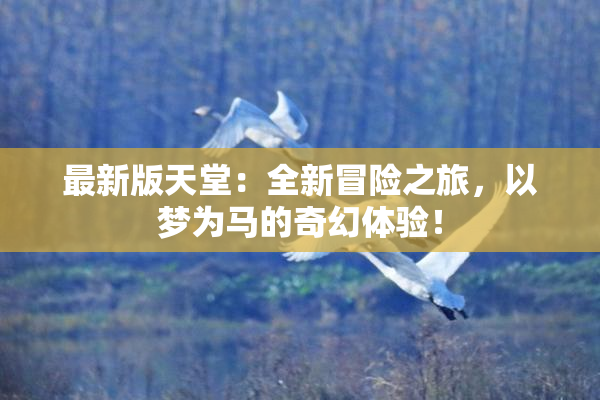 最新版天堂：全新冒险之旅，以梦为马的奇幻体验！
