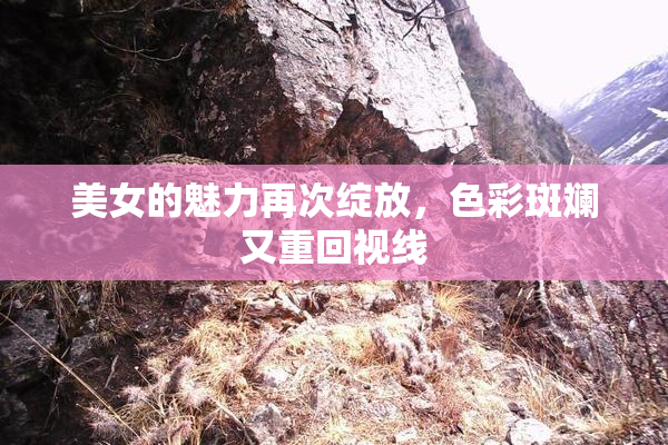 美女的魅力再次绽放，色彩斑斓又重回视线