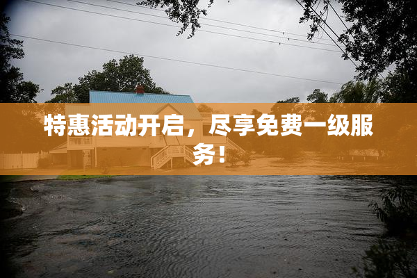 特惠活动开启，尽享免费一级服务！