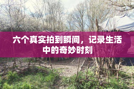 六个真实拍到瞬间，记录生活中的奇妙时刻