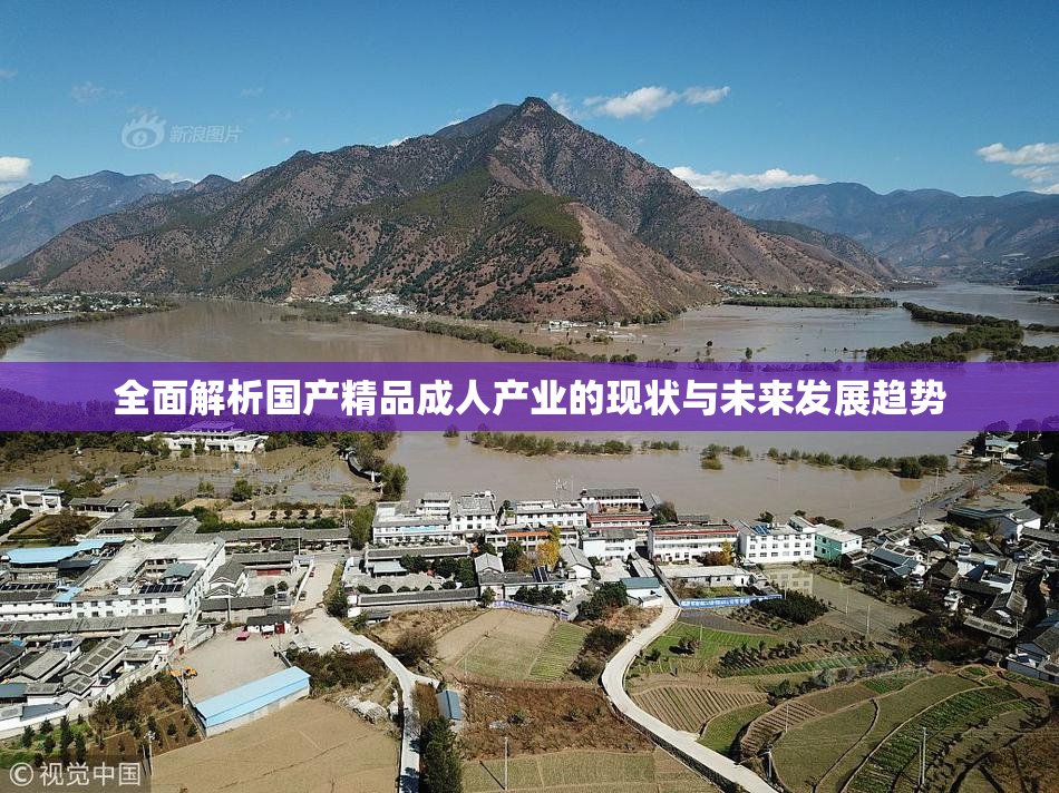 全面解析国产精品成人产业的现状与未来发展趋势