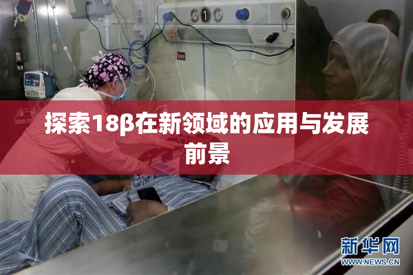 探索18β在新领域的应用与发展前景