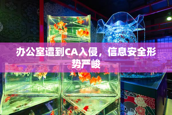 办公室遭到CA入侵，信息安全形势严峻