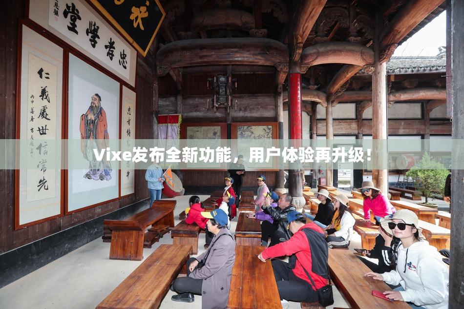 Vixe发布全新功能，用户体验再升级！