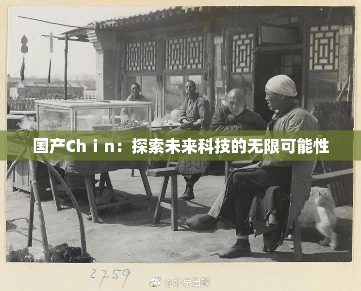 国产Chⅰn：探索未来科技的无限可能性