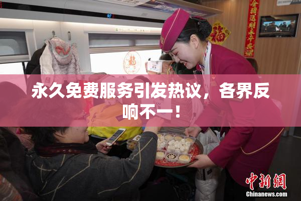 永久免费服务引发热议，各界反响不一！