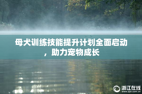 母犬训练技能提升计划全面启动，助力宠物成长