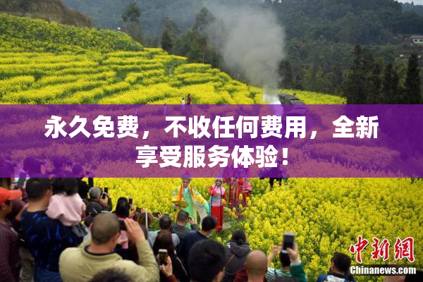 永久免费，不收任何费用，全新享受服务体验！