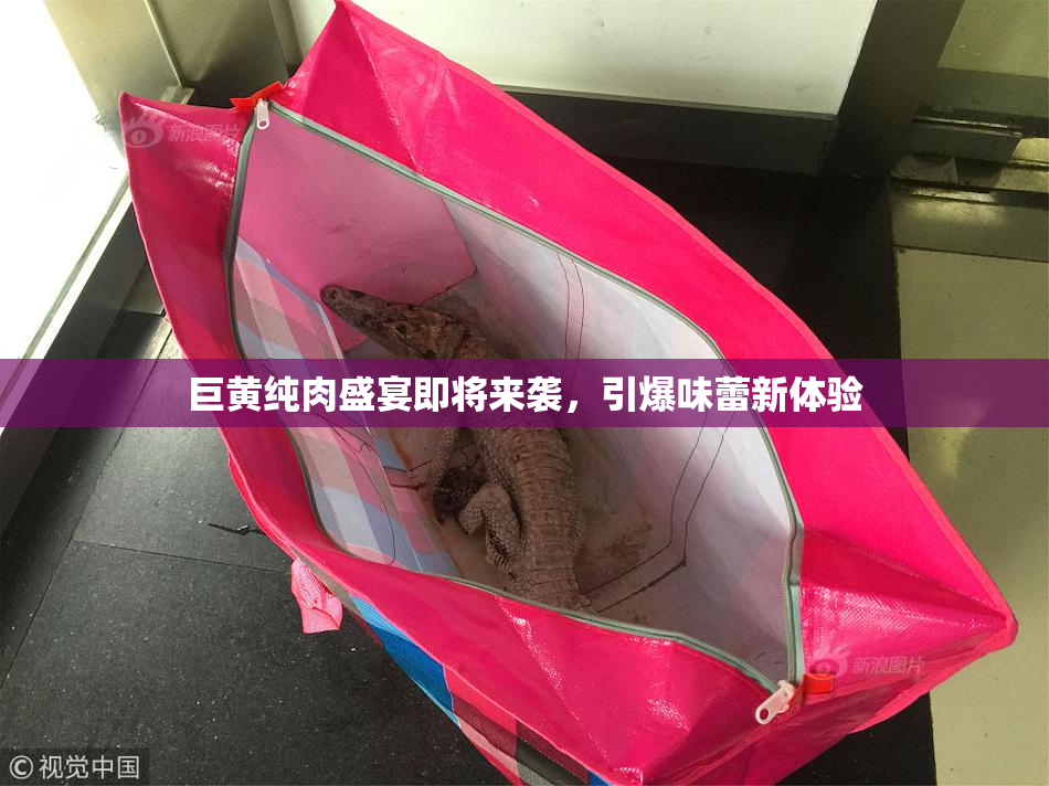 巨黄纯肉盛宴即将来袭，引爆味蕾新体验