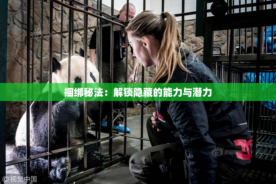 捆绑秘法：解锁隐藏的能力与潜力