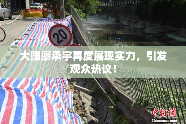大雕廖承宇再度展现实力，引发观众热议！