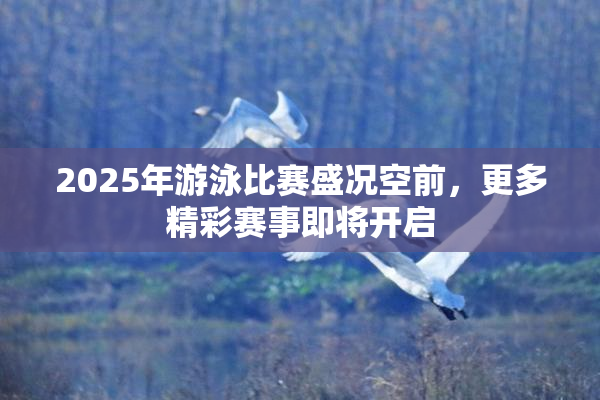 2025年游泳比赛盛况空前，更多精彩赛事即将开启