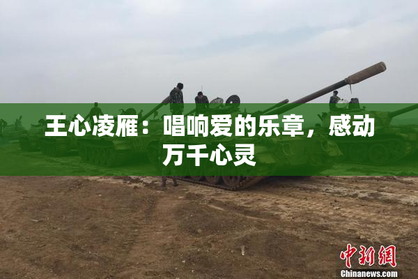 王心凌雁：唱响爱的乐章，感动万千心灵