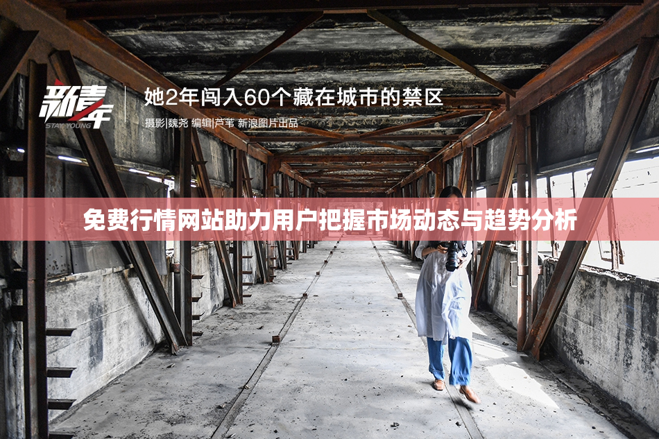 免费行情网站助力用户把握市场动态与趋势分析