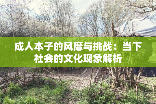 成人本子的风靡与挑战：当下社会的文化现象解析