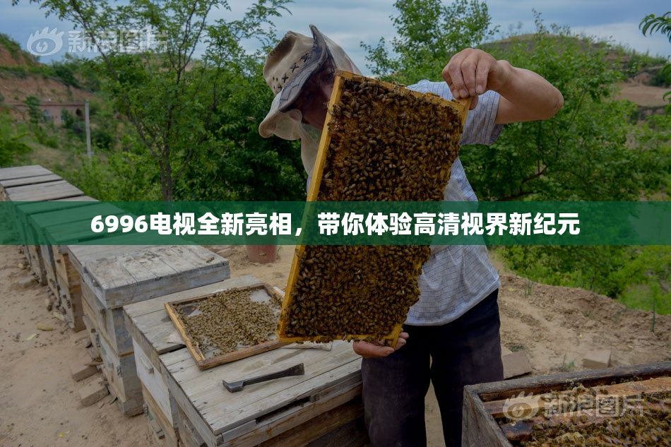 6996电视全新亮相，带你体验高清视界新纪元