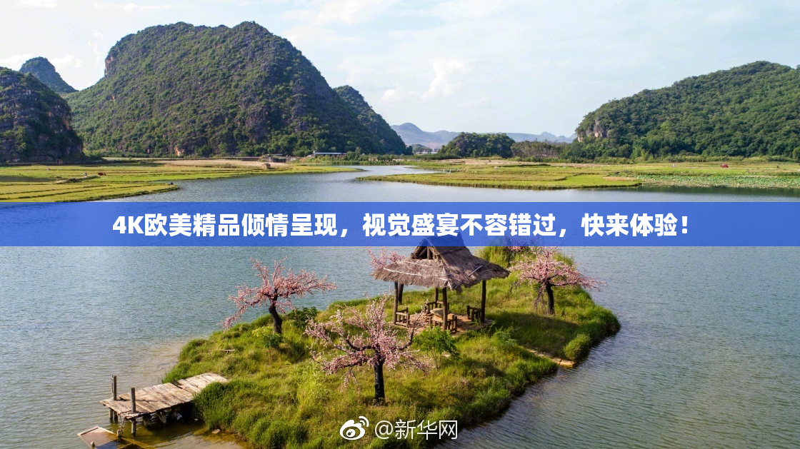 4K欧美精品倾情呈现，视觉盛宴不容错过，快来体验！
