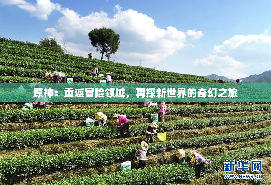 原神：重返冒险领域，再探新世界的奇幻之旅