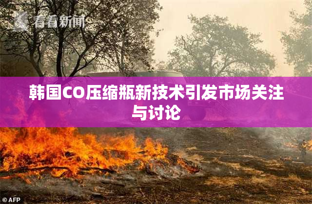 韩国CO压缩瓶新技术引发市场关注与讨论