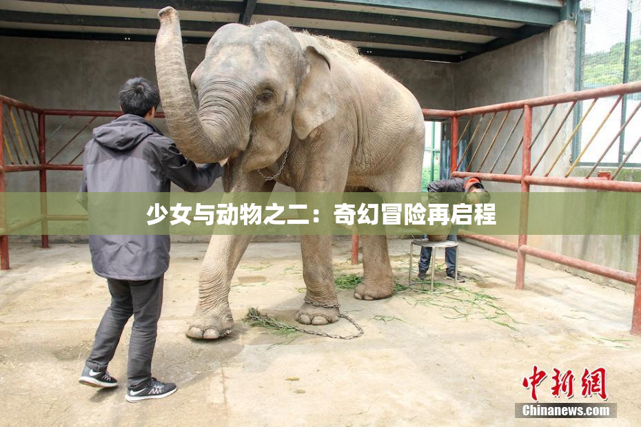 少女与动物之二：奇幻冒险再启程