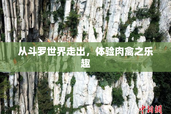 从斗罗世界走出，体验肉禽之乐趣