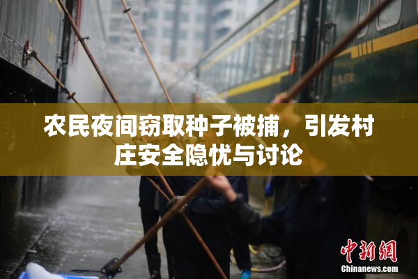 农民夜间窃取种子被捕，引发村庄安全隐忧与讨论