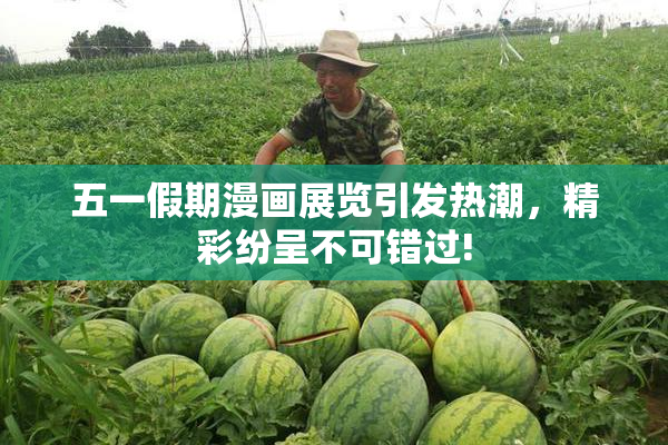 五一假期漫画展览引发热潮，精彩纷呈不可错过!