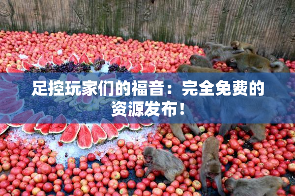 足控玩家们的福音：完全免费的资源发布！