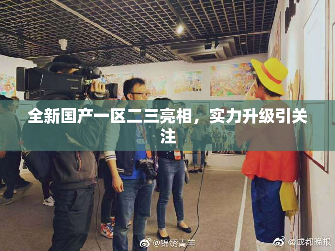 全新国产一区二三亮相，实力升级引关注