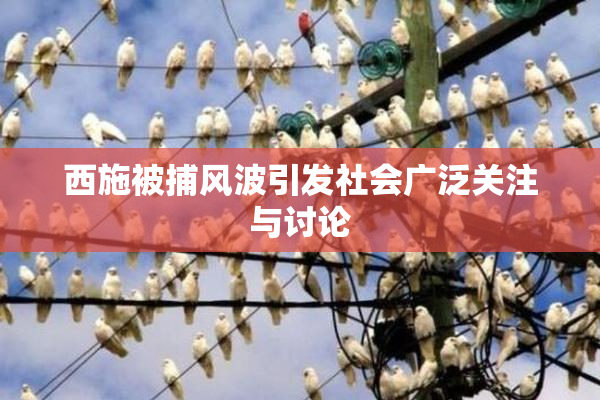 西施被捕风波引发社会广泛关注与讨论