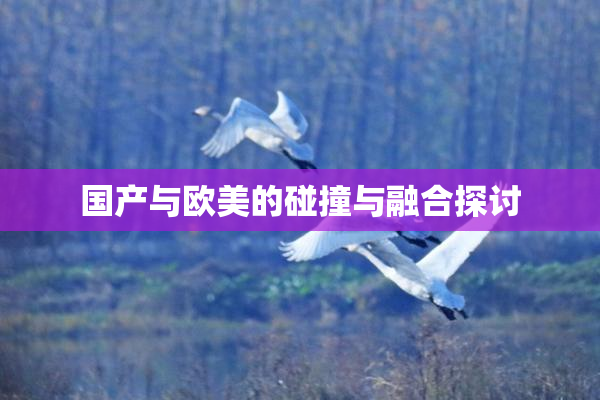 国产与欧美的碰撞与融合探讨