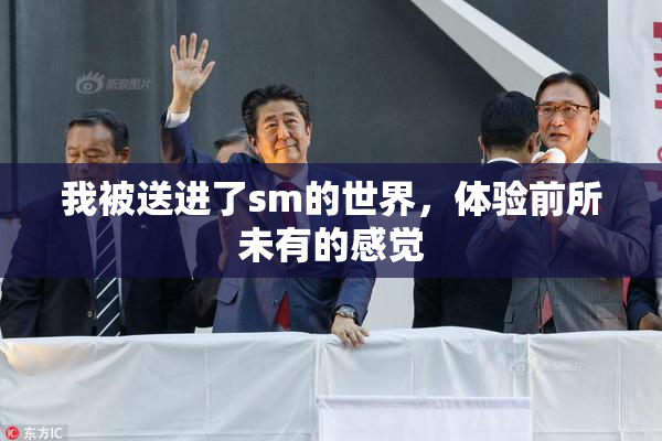 我被送进了sm的世界，体验前所未有的感觉