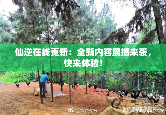 仙逆在线更新：全新内容震撼来袭，快来体验！