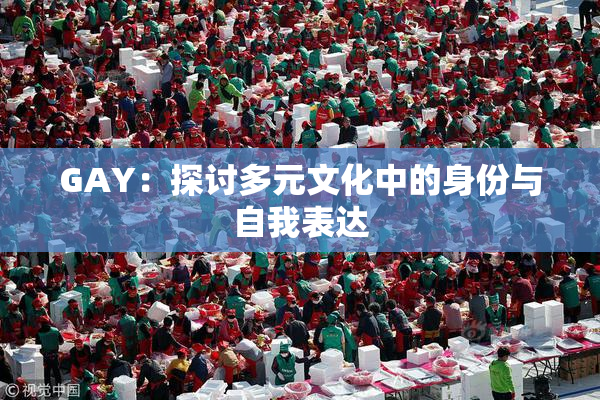 GAY：探讨多元文化中的身份与自我表达